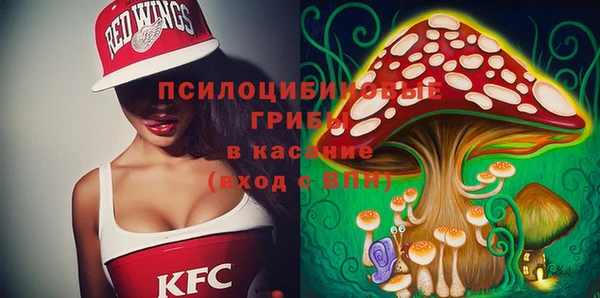 гашик Всеволожск