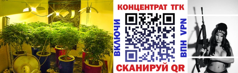 ОМГ ОМГ маркетплейс  Бирюч  ТГК Wax 